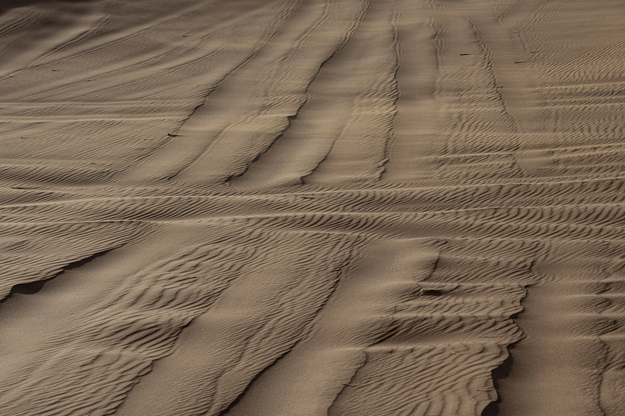 Sharjah dunes XV